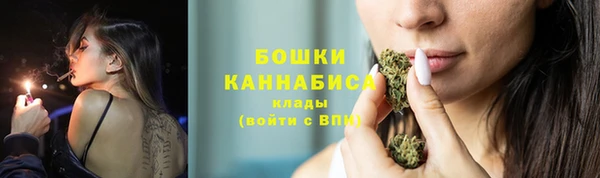 мдпв Дедовск